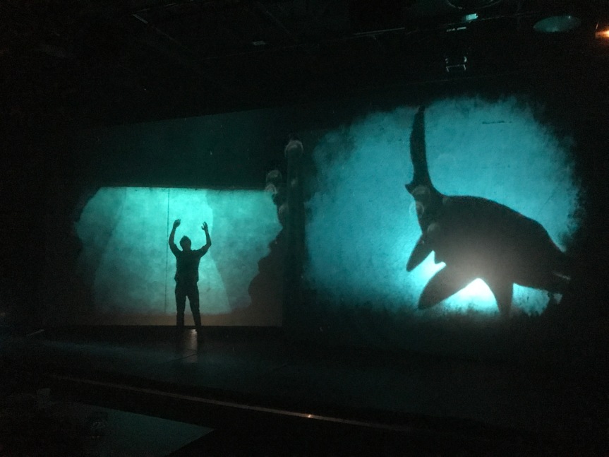 « L’ODYSSÉE d’HIPPO », SPECTACLE MUSICAL IMMERSIF